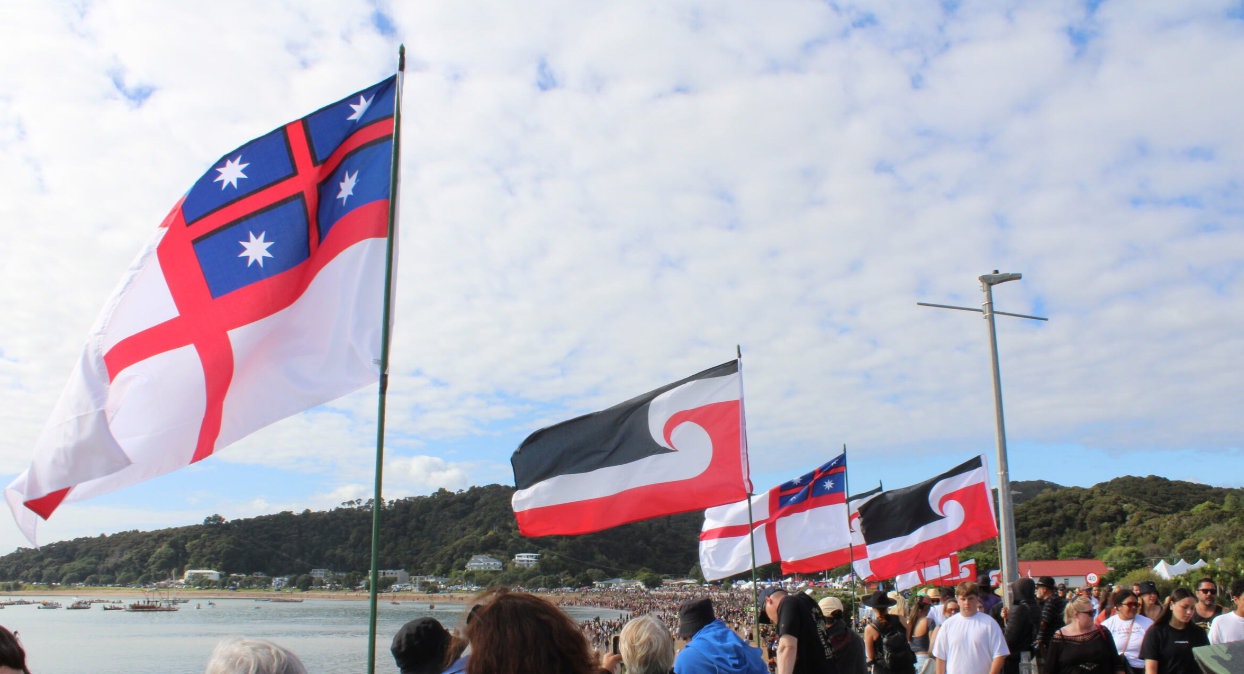 Māori-led solutions, and systems change